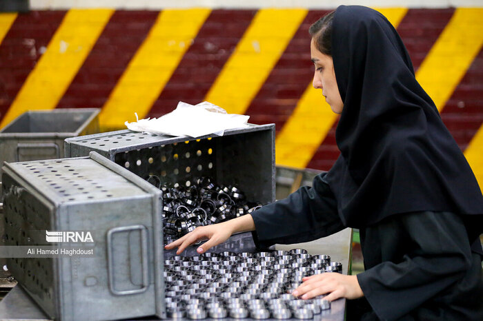 نایب رییس اتاق بازرگانی ایران: ۷۰ هزار بانوی کارآفرین در کشور فعالیت دارند