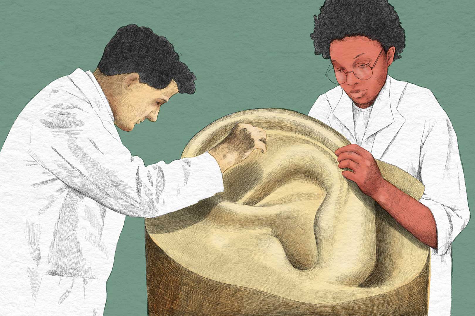 آنچه جرم گوش درباره سلامتی ما آشکار میکند