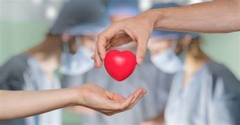 باشگاه فوتبال بانوان پرسپولیس؛ نخستین تیم بانوان حامی رسمی اهدای عضو