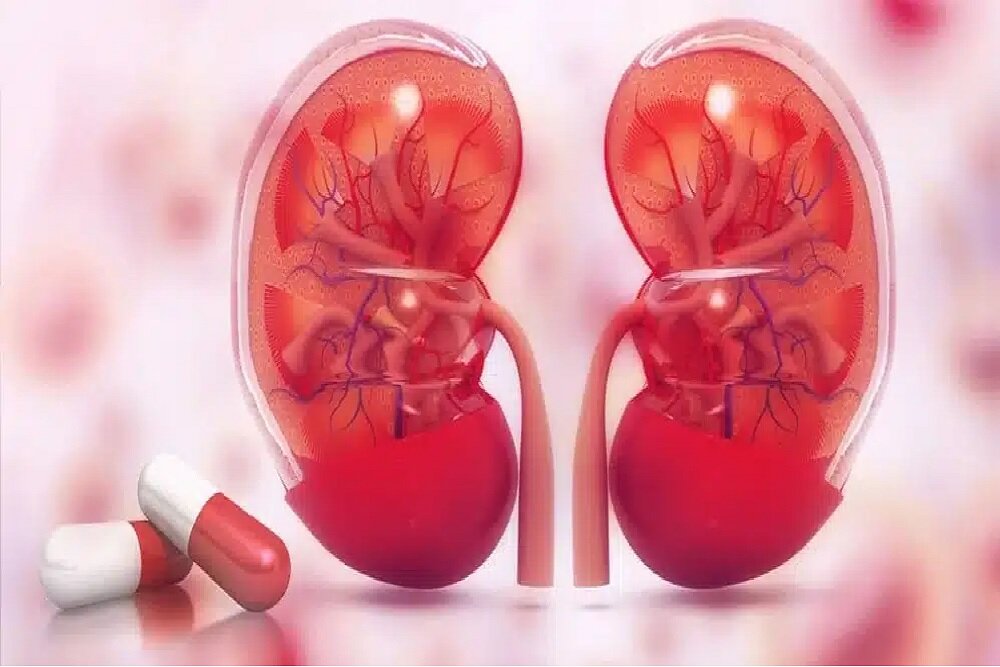 نفروپاتی دیابتی، عامل اصلی نارسایی کلیه/ کنترل قند و فشار خون کلید پیشگیری است