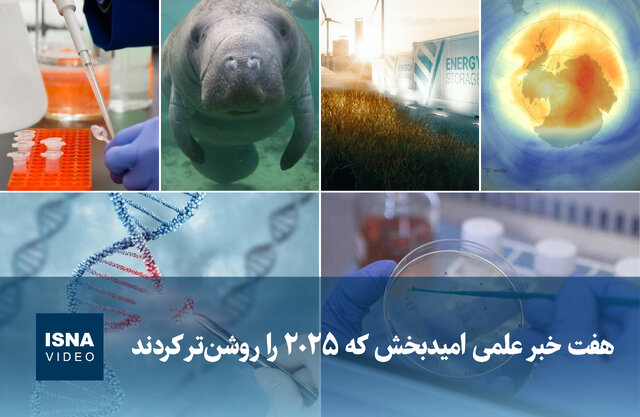 ویدیو/ هفت خبر علمی امیدبخش که ۲۰۲۵ را روشنتر کردند ویدیو/ هفت خبر علمی امیدبخش که ۲۰۲۵ را روشنتر کردند