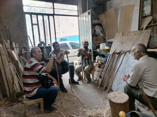 چرا جنگلهای شمال ایران در معرض نابودیاند؟