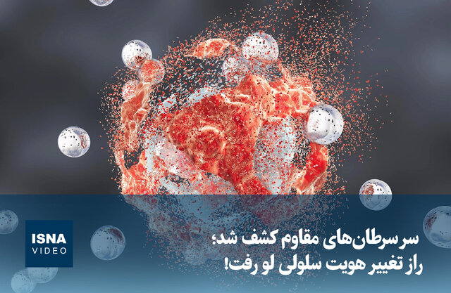 ویدیو/ راز سرطانهای مقاوم کشف شد ویدیو/ راز سرطانهای مقاوم کشف شد