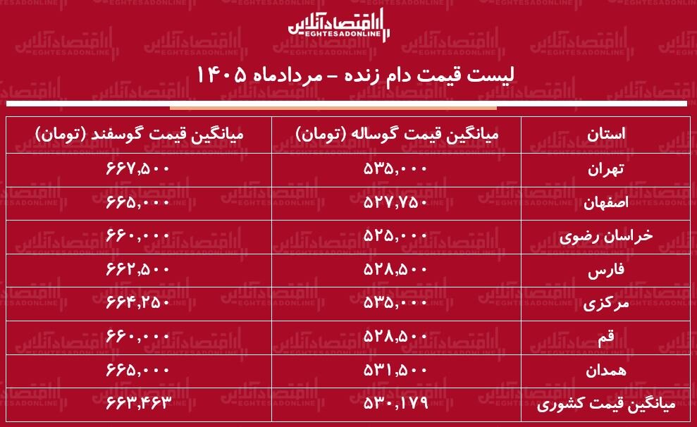 قیمت جدید دام زنده امروز ۹ مرداد ۱۴۰۵/ گوساله کیلویی ۵۳۰ هزار تومان شد + جدول