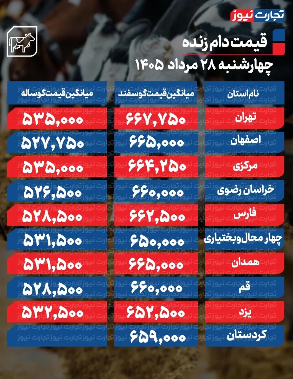 قیمت جدید دام زنده امروز ۲۸ مرداد ۱۴۰۵/ ارزانترین گوساله در کجا خرید و فروش میشود؟ + جدول
