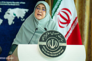طعنه به سخنگوی دولت: اگر برای گرانی عذرخواهی نمی کنید، بخاطر بی تدبیری ها پوزش بخواهید