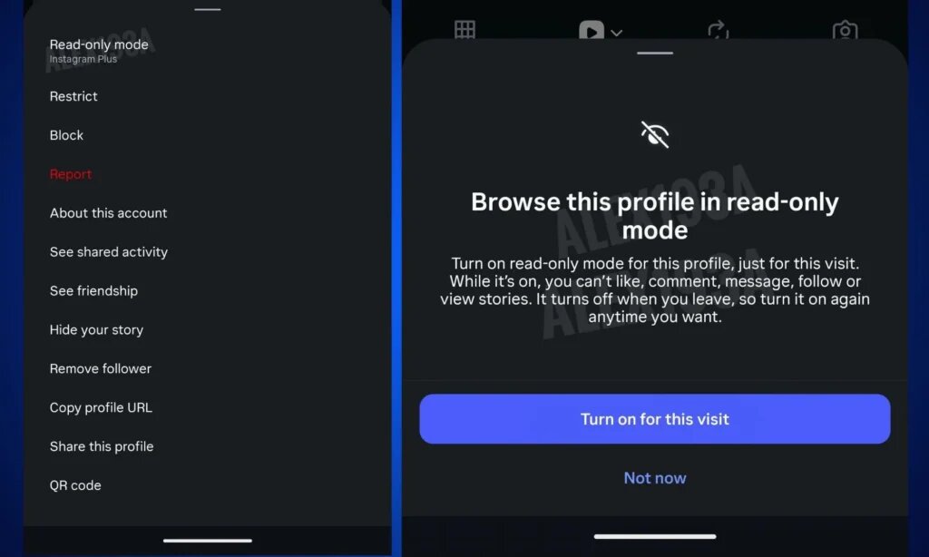 قابلیت آزمایشی اینستاگرام لو رفت / بیسروصدا به پروفایلها سرک بکشید