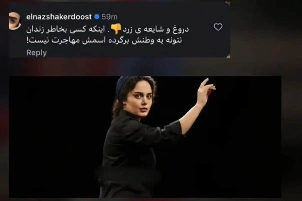 الناز شاکردوست: مهاجرت نکرده ام اما چون برایم حبس بریده اند به ایران برنمی گردم/ تلاش یک خانم کارگردان برای رفع محکومیت شاکردوست